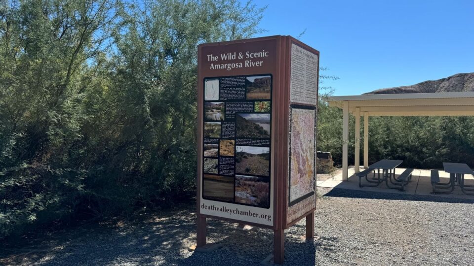 The Wild and Scenic Amargosa River