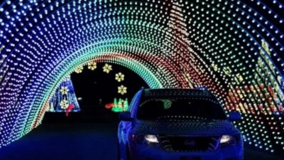 Electric City Light Show