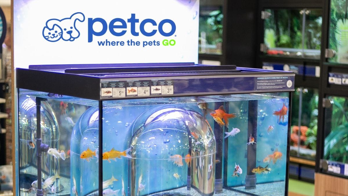 Petco Unveils Interactive Live Animal Experience in Las Vegas