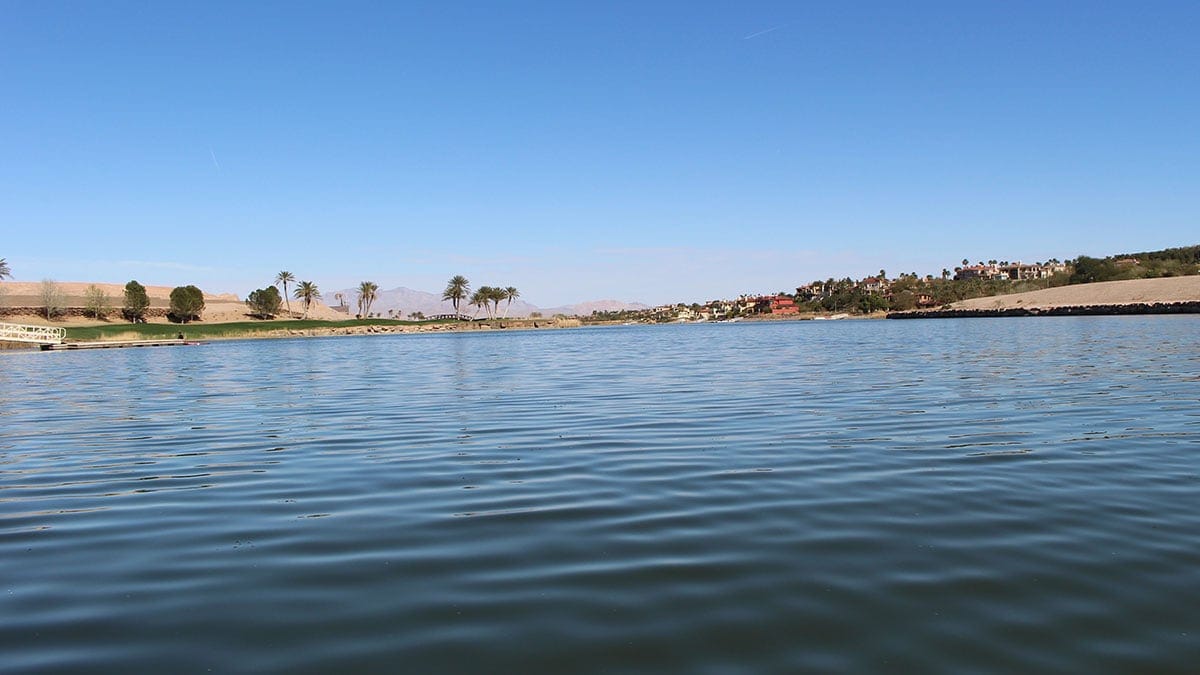 couples, families, and visitors