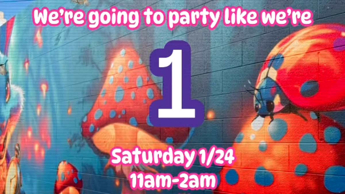 1st Birthday Bash Down the Rabbit Hole