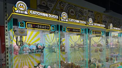 Catching Ducks Claw Arcade