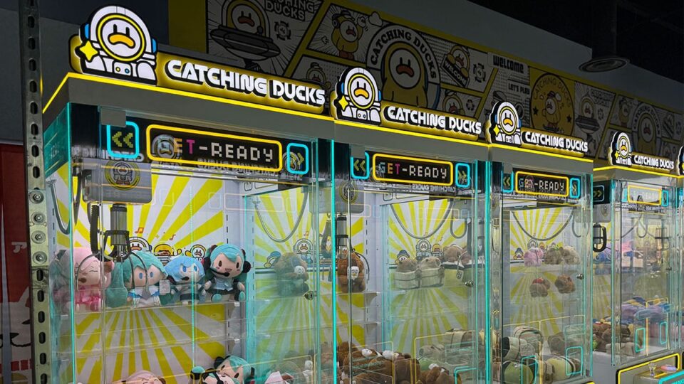 Catching Ducks Claw Arcade