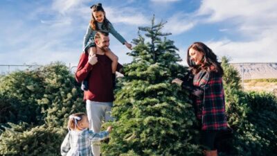 Christmas Tree Recycling in Summerlin