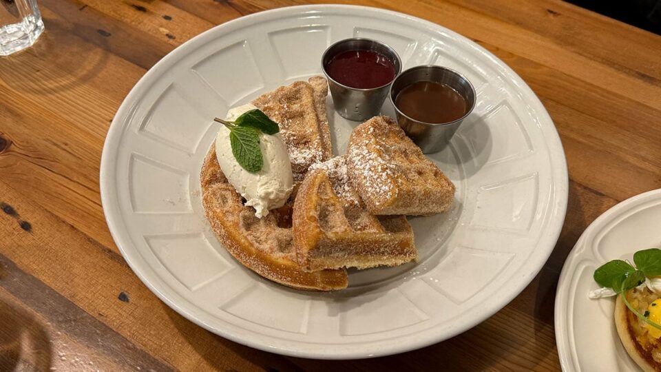 Churro waffle topped with cinnamon sugar, dulce de leche, and berries at Honey Salt