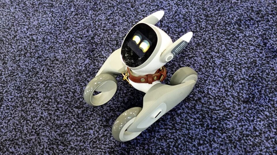 Pet Robot at CES