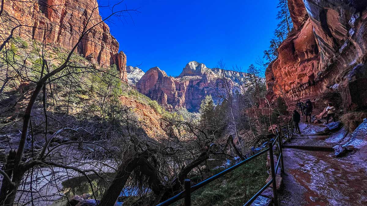 Lower-Emerald-Pool-Trail-Zion-Canyon