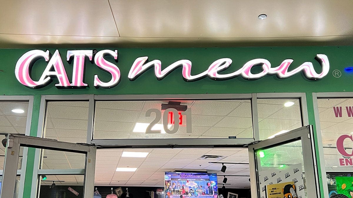 Cat’s Meow: Big-Stage Karaoke in Downtown Las Vegas