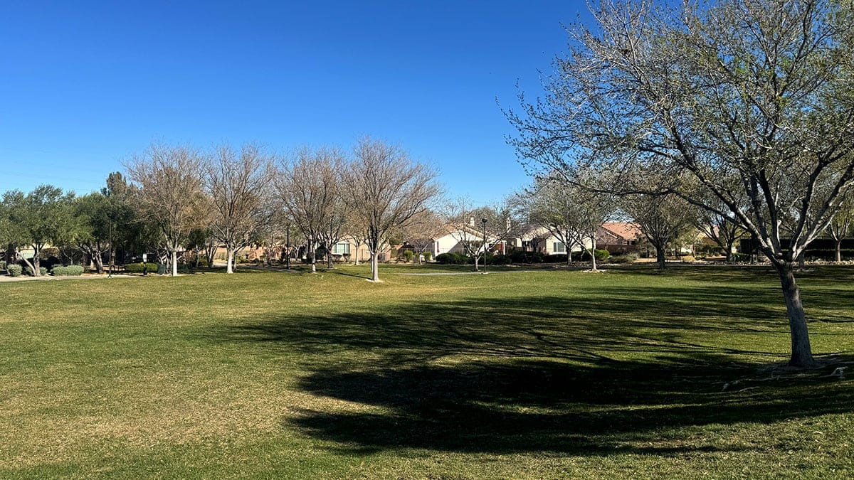 a large open grassy field at Ridgebrook Park in Summerlin