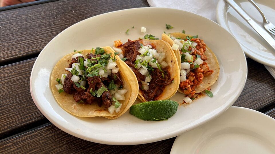 Street tacos with carnitas, carne asada, and chicken topped with cilantro and onion