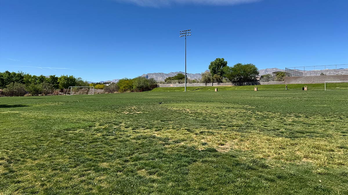 large grassy soccer fields at Centennial Hills Park