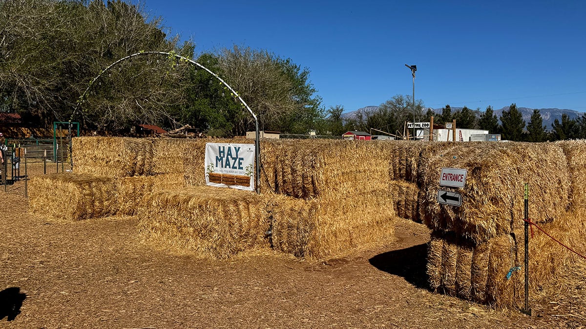 hay maze at the farm hurricane utah