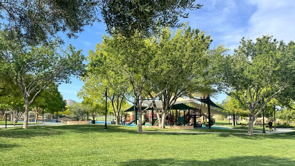 open grass fields at Paseos Park