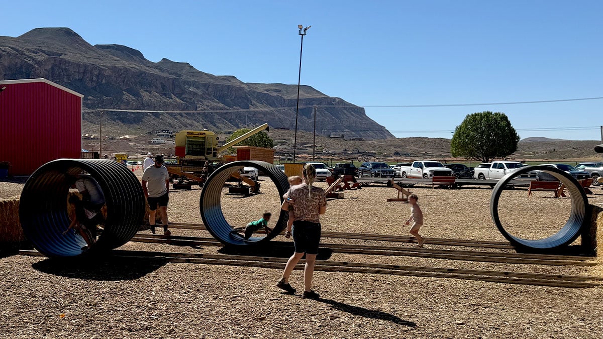 kids playing on rolling tube at the farm