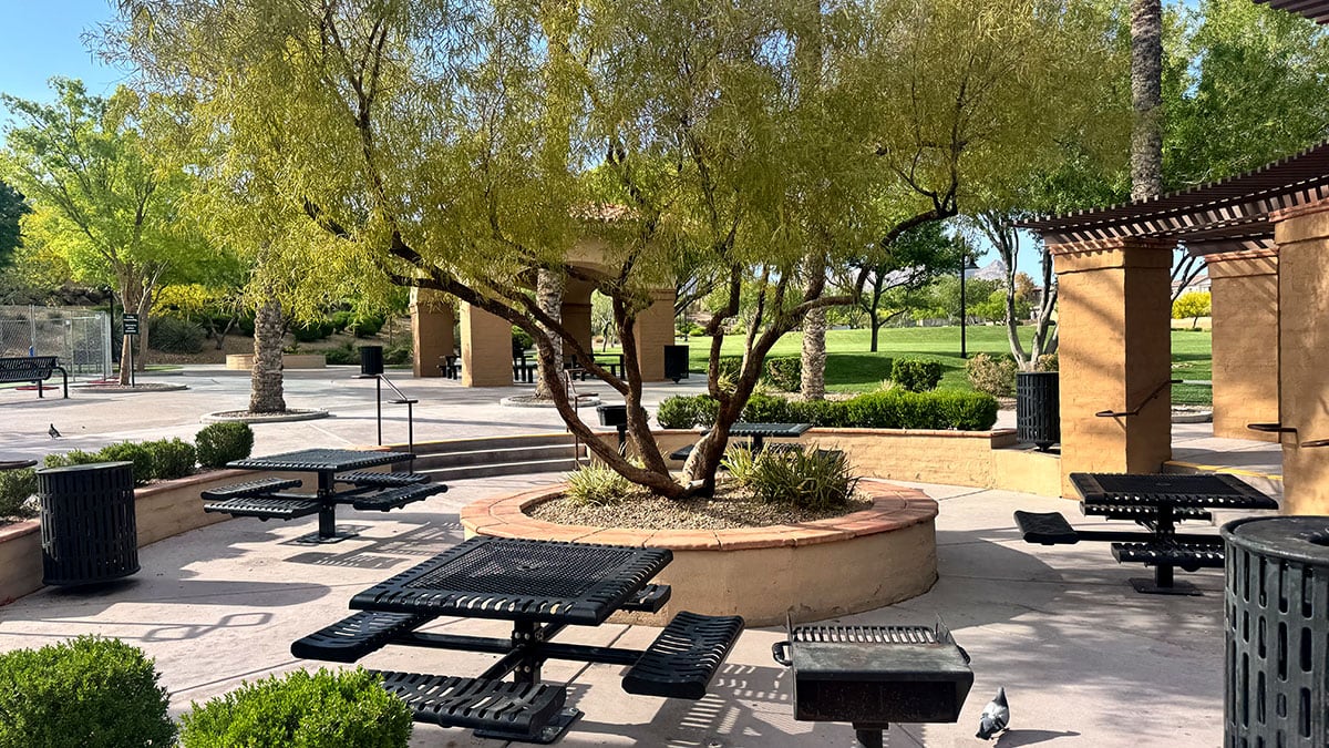 picnic tables under shade trees at Paseos Park in Summerlin