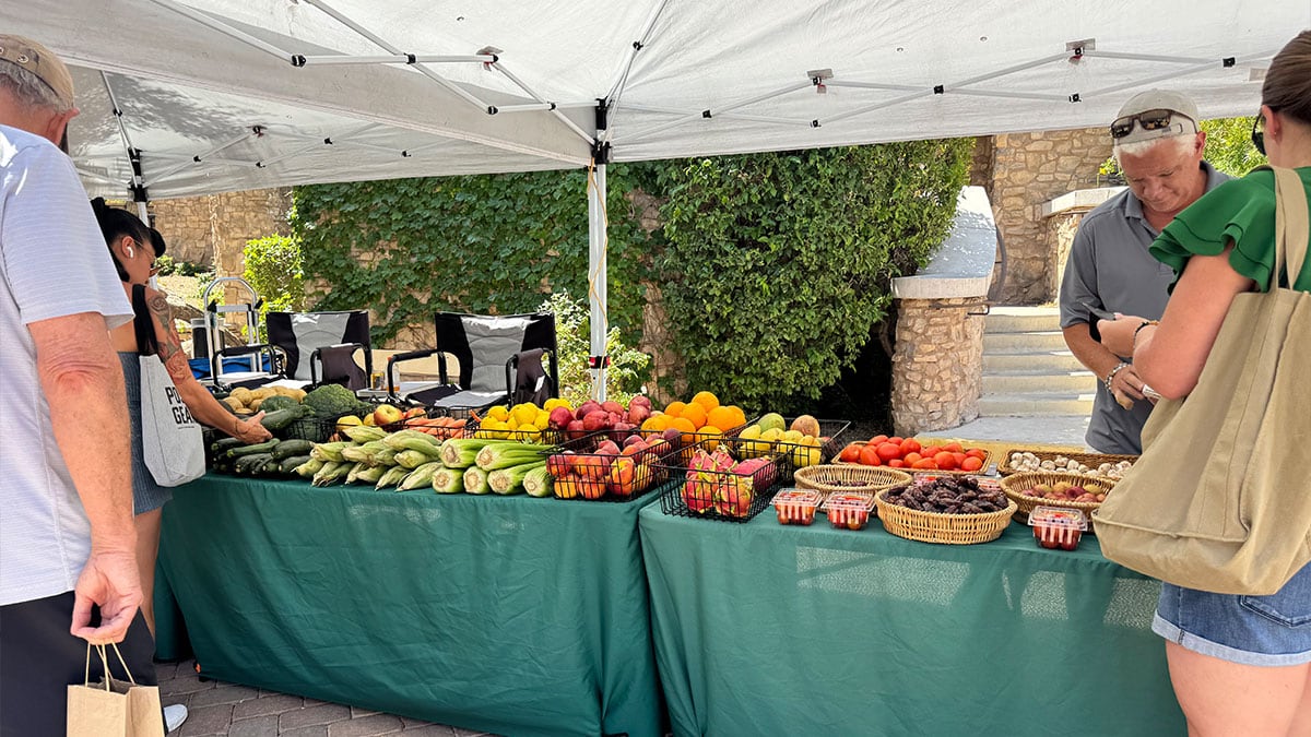 fresh vegetables and fruit displayed by local vendors at the lake las vegas farmers market