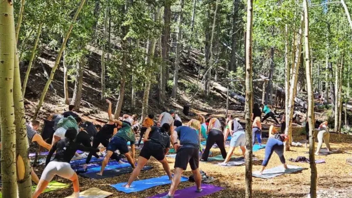Scenic Yoga Classes at Lee Canyon