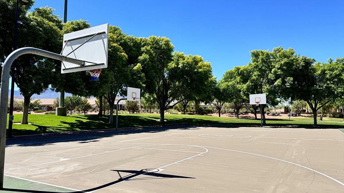 basketball court at Spotted Leaf Park with hoops and surrounding park scenery