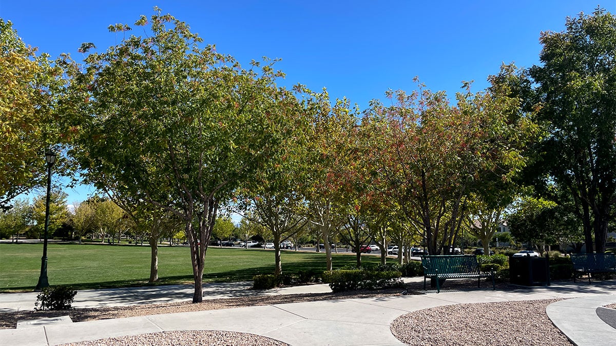 Gardens Park is one of Summerlin’s most popular family destinations, featuring playgrounds, sports courts, picnic areas, and expansive green spaces.