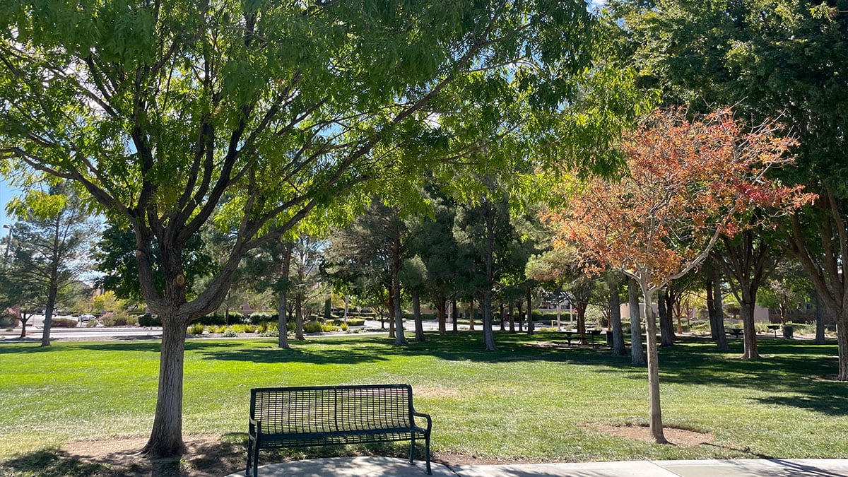 Lush grassy area at South Tower Park with room for picnics, gatherings, and recreation.