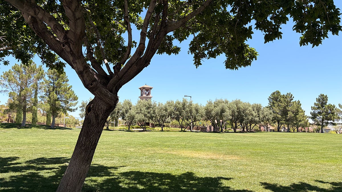 Large grassy field at North Tower Park in Summerlin with open space for families and children to play.