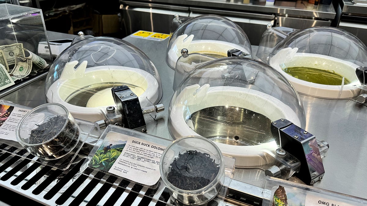 fresh homemade gelato made daily at OMG Tea Lab with authentic Asian-inspired flavors