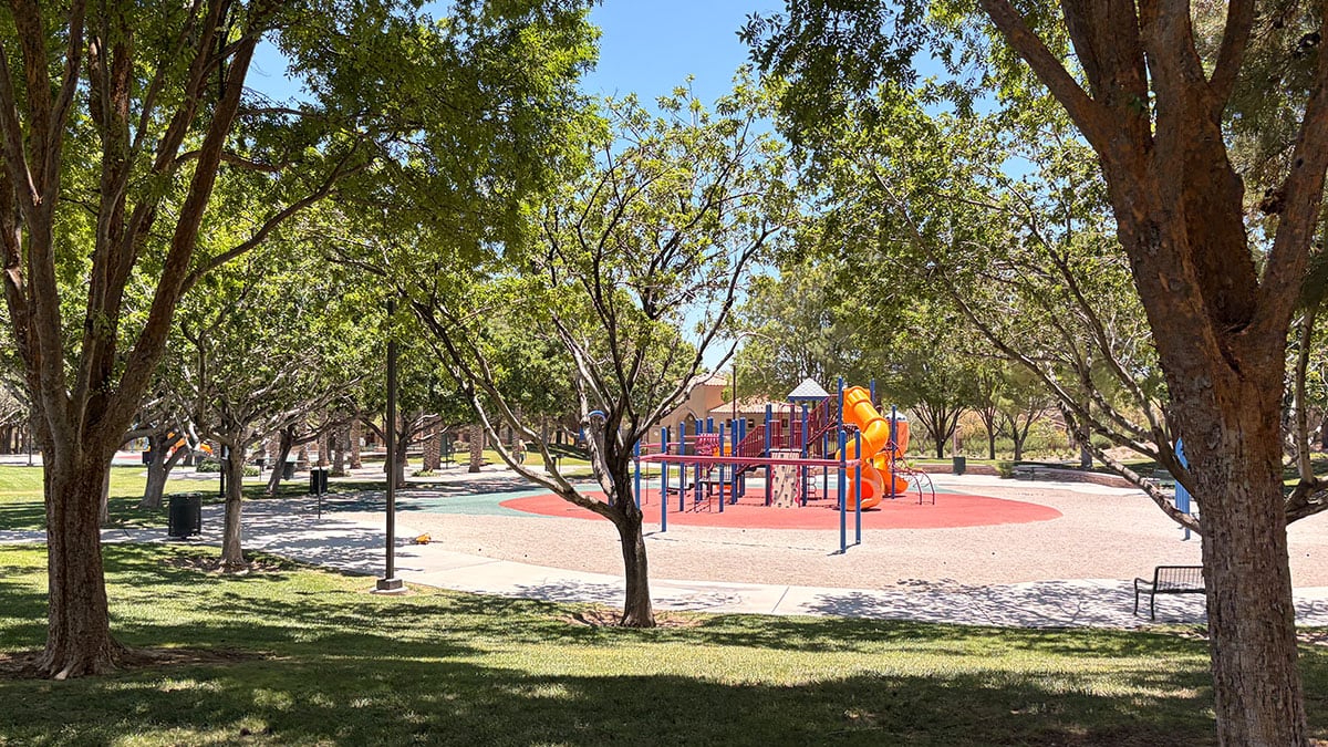 Playground area at North Tower Park featuring slides, climbing structures, swings, and shade canopies.