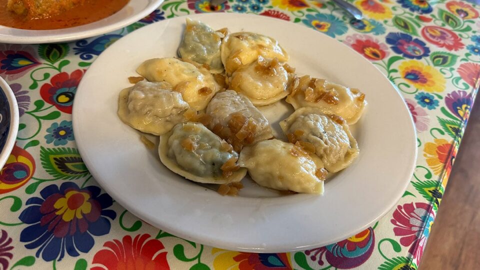 Pierogi sampler platter featuring assorted handmade pierogi filled with potato, cheese, meat, mushroom, and spinach.