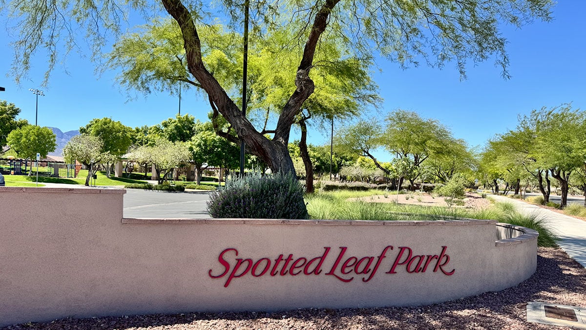 view of Spotted Leaf Park in Summerlin with walking paths, green space, and recreational areas