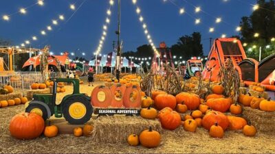 Centennial Hills Pumpkin Patch