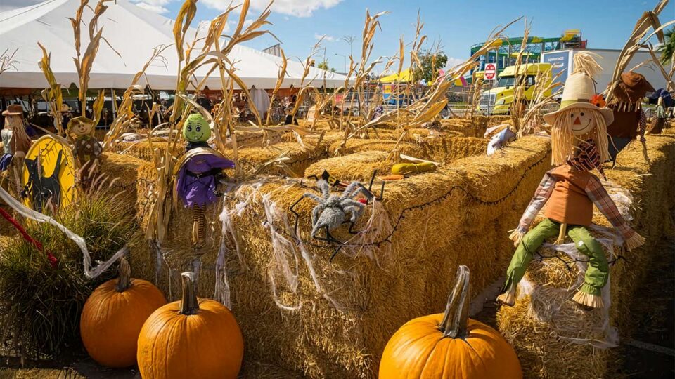 Pumpkin Patch Las Vegas 2026: Local Patches & Fall Festivals